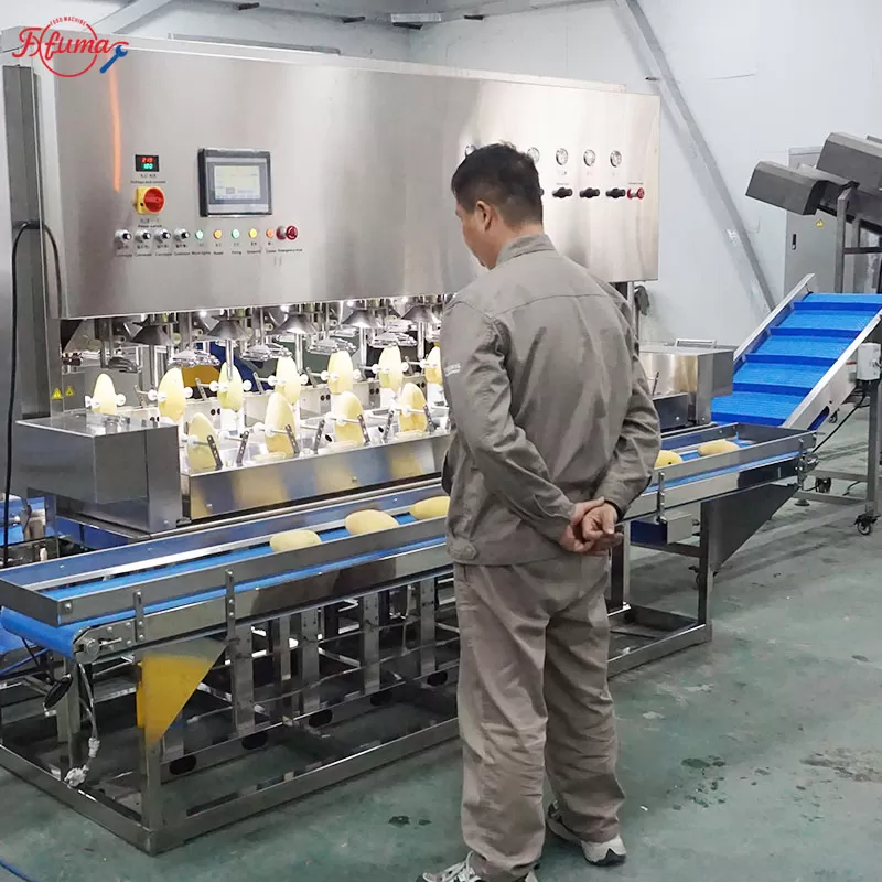 Bulk Mango Processing Line for Mango Slices