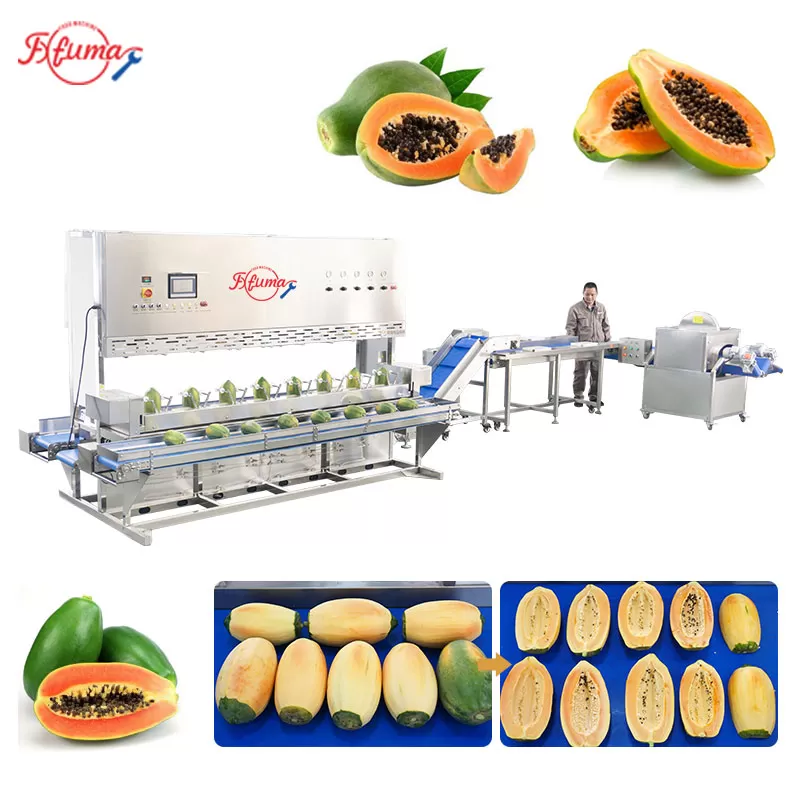 Papaya Processing Line - Peeling and Halving