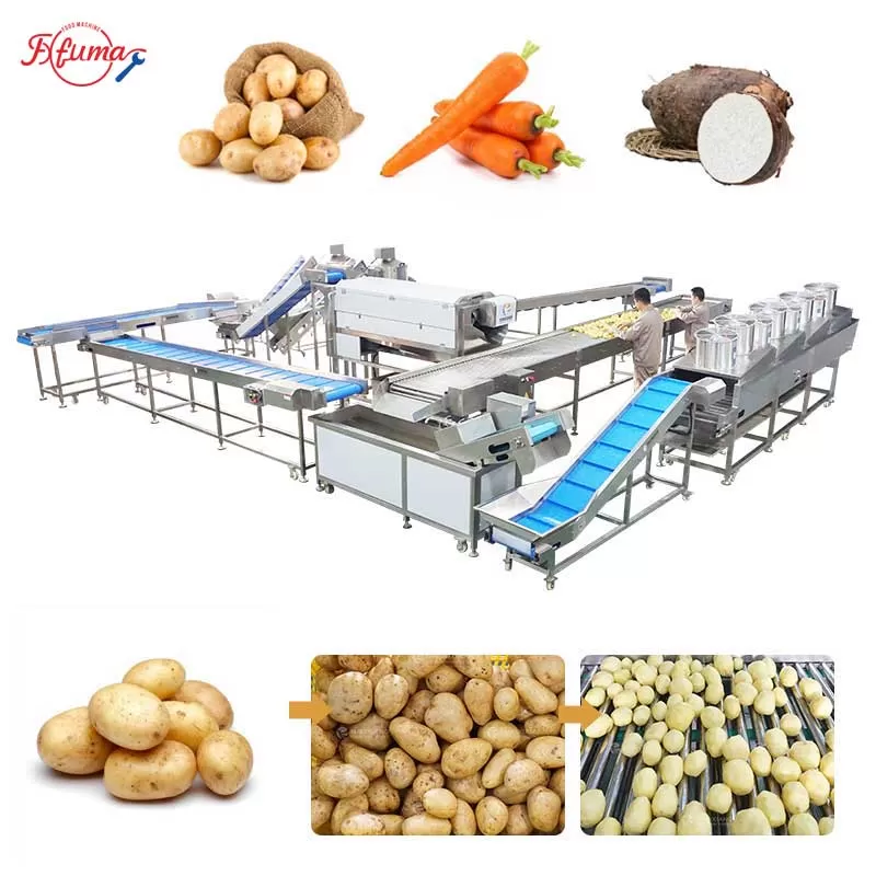 root vegetable processing line