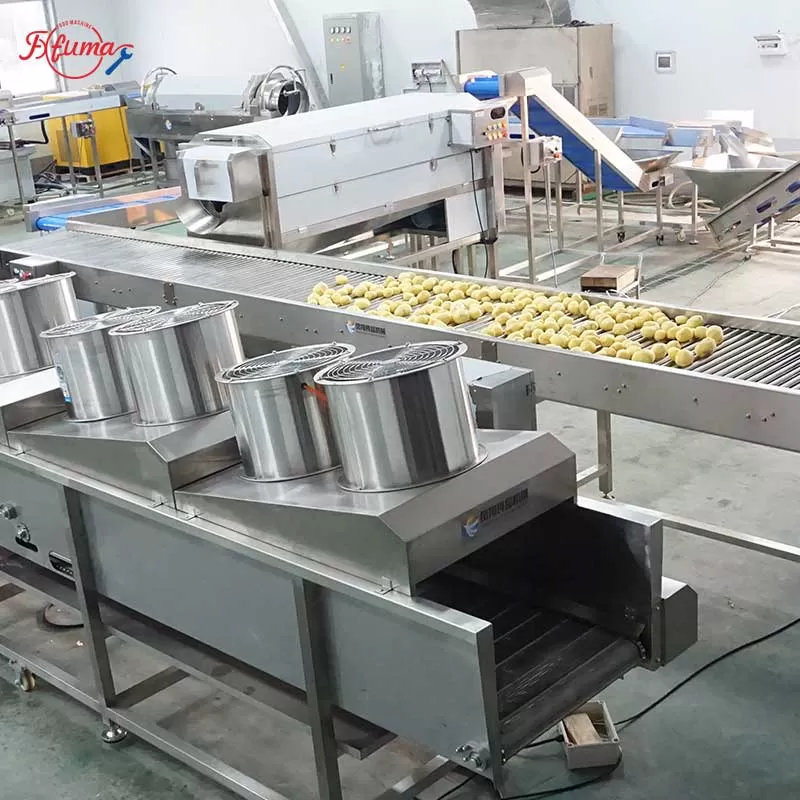 root vegetable processing line
