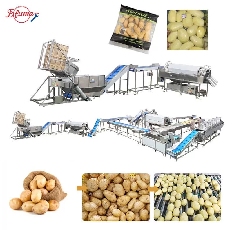 customized potato feeding, washing line