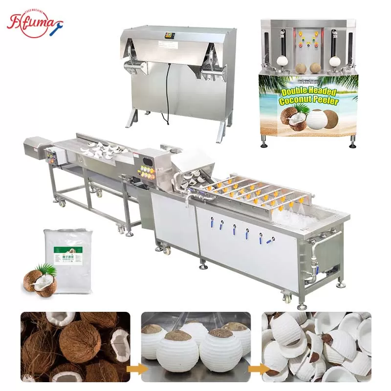 Customized Coconut Processing Line - Dehusking Peeling Washing