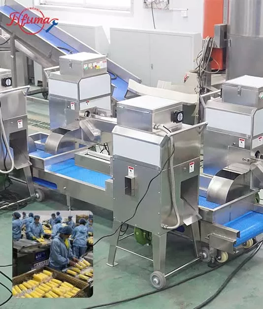 Core Productivity Equipment of Corn Processing