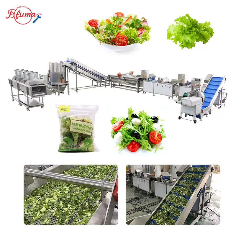 leavy vegetable orocessing line 2000kg/h