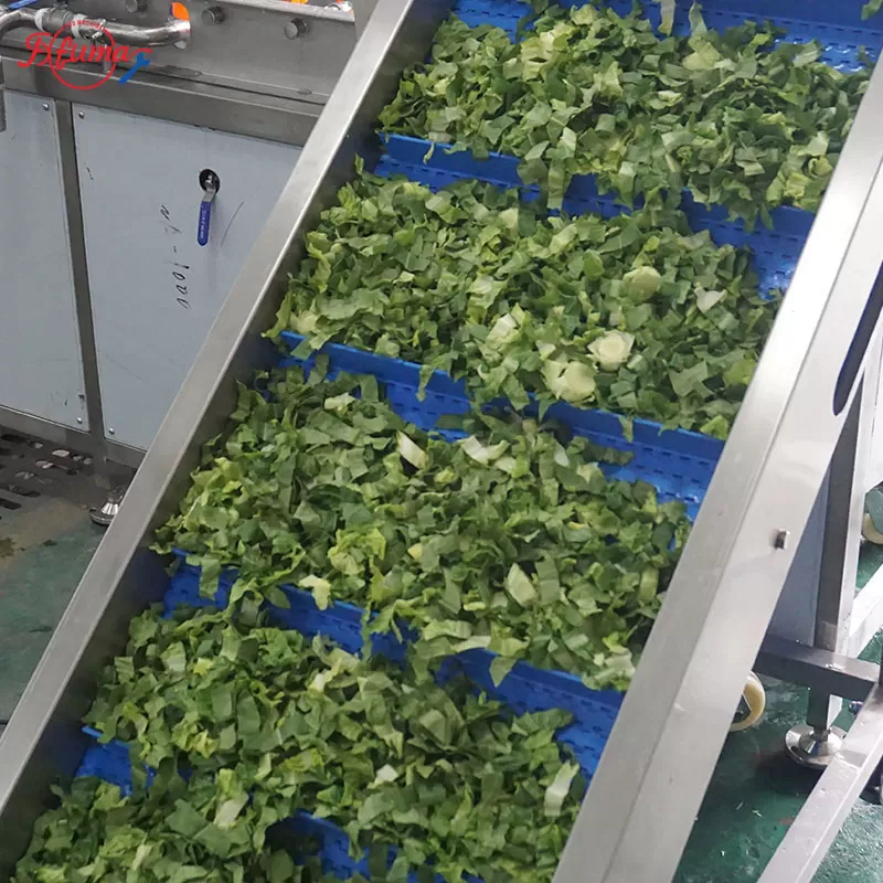 vegetable processing line for commercial use