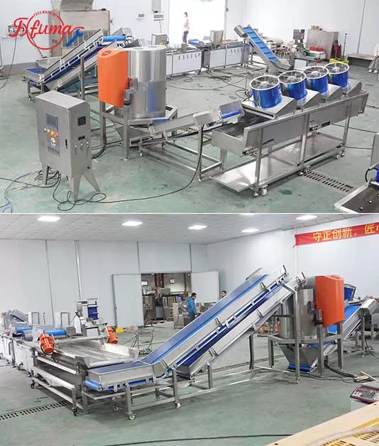 leavy vegetable processing line