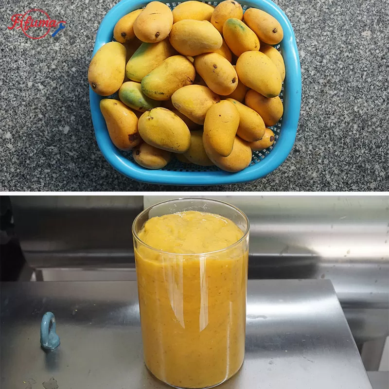 Orange Mango Fruit Pluping Machine in food industry
