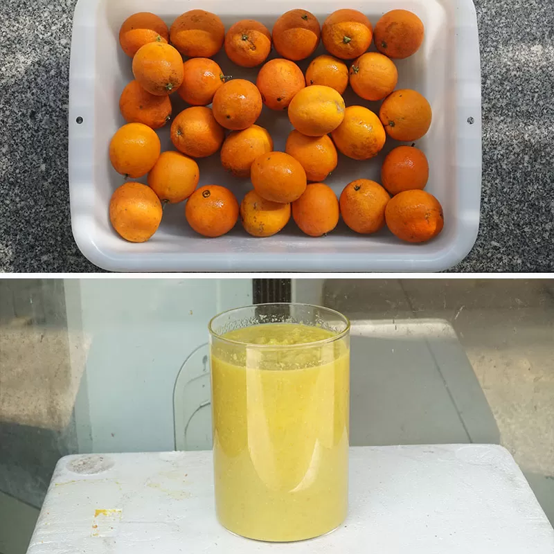 Orange Mango Fruit Pluping Machine in food industry