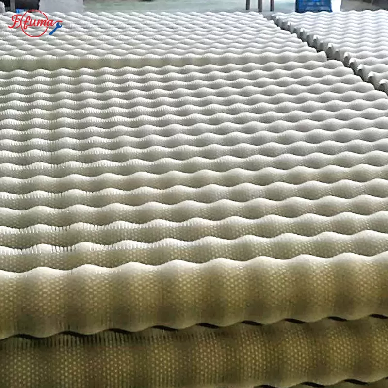 brush roller for washing and polishing potatoes