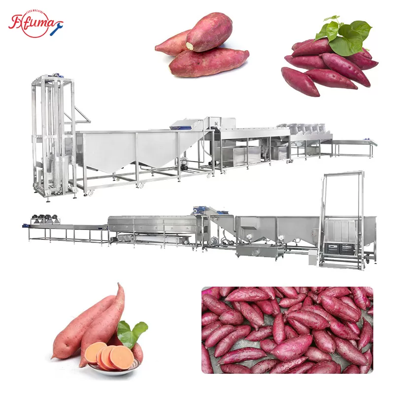 commercial sweet potato production line