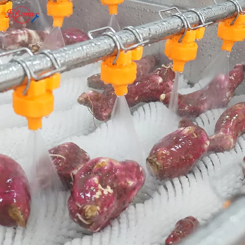 commercial sweet potato production line