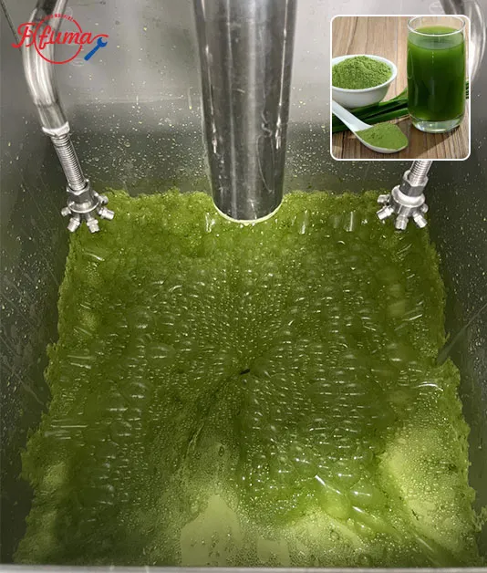 Complete Guide to Juice Processing Lines: How to Choose the Right Small & Medium Fruit & Vegetable Juice Line