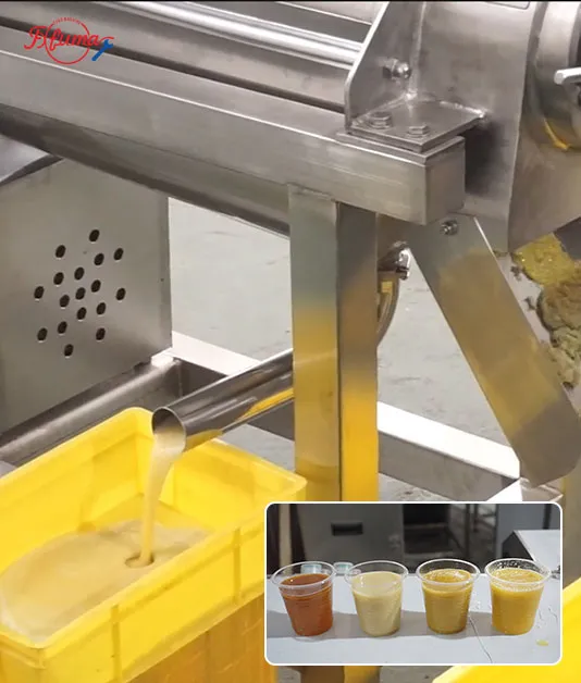 fruit juice processing line