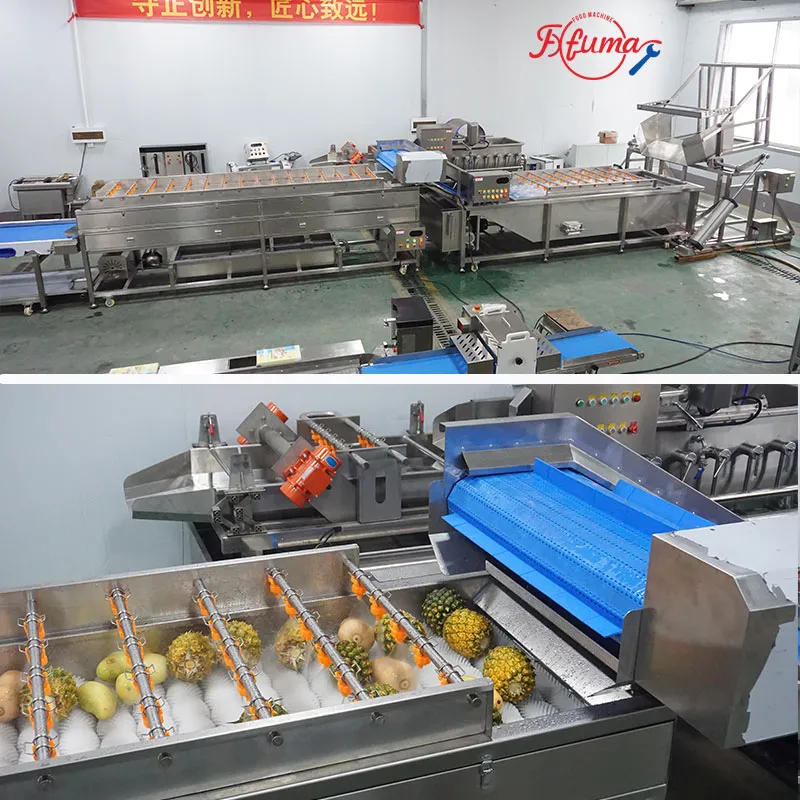 pineapple processing line