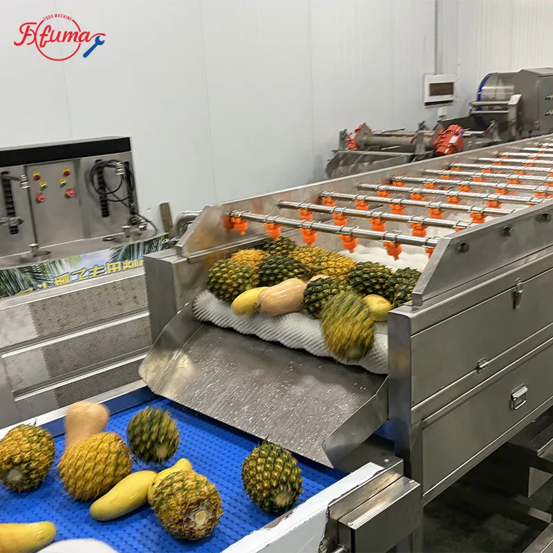 pineapple washing machine