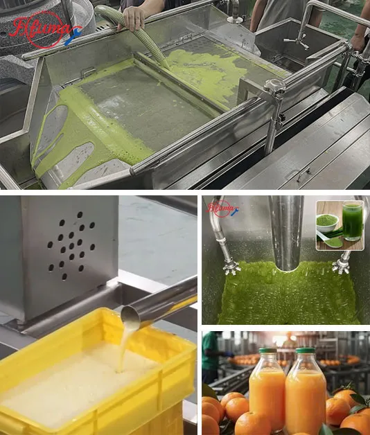 Complete Guide to Juice Processing Lines: How to Choose the Right Small & Medium Fruit & Vegetable Juice Line
