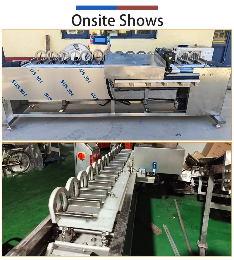 multiheads mango corer machine