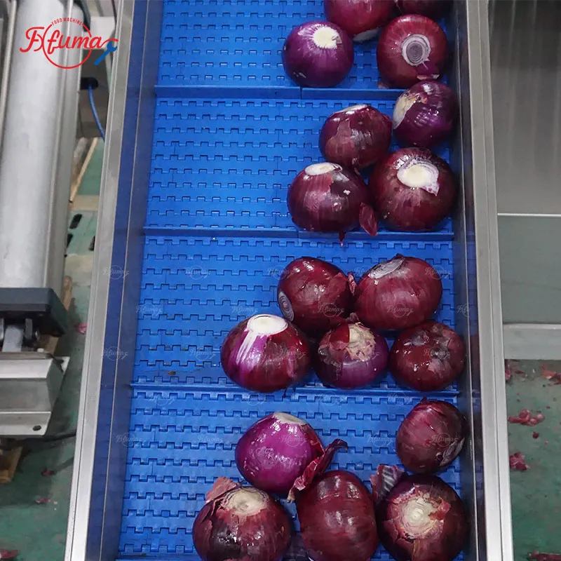 Chain-type onion peeler