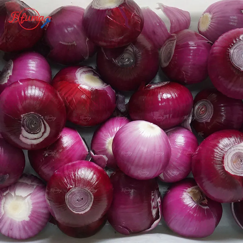 Chain-type onion peeler machine