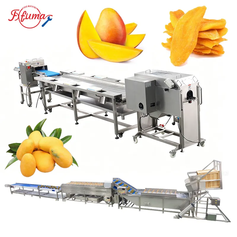 fersh cut mango process line - fuma machine