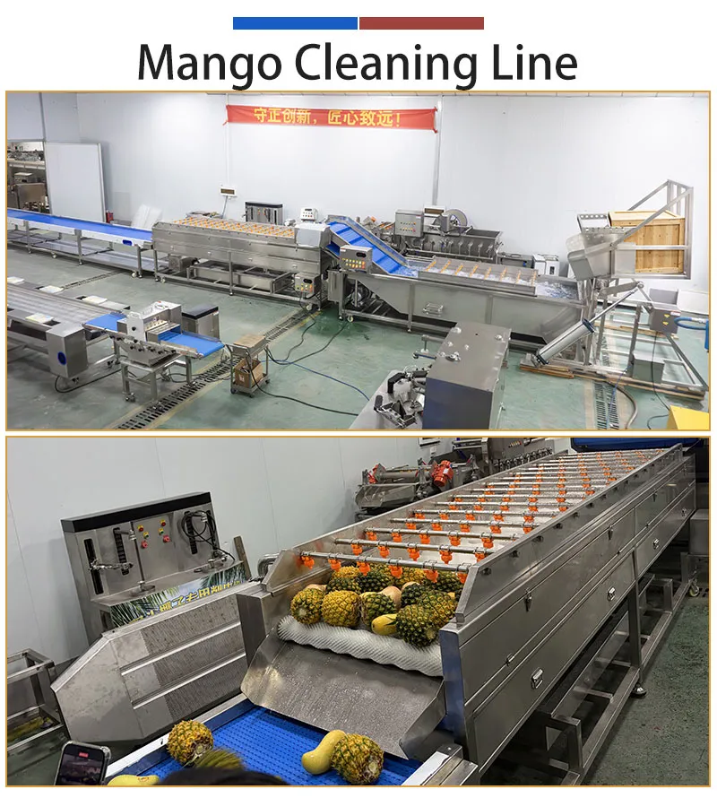 fersh cut mango process line - fuma machine