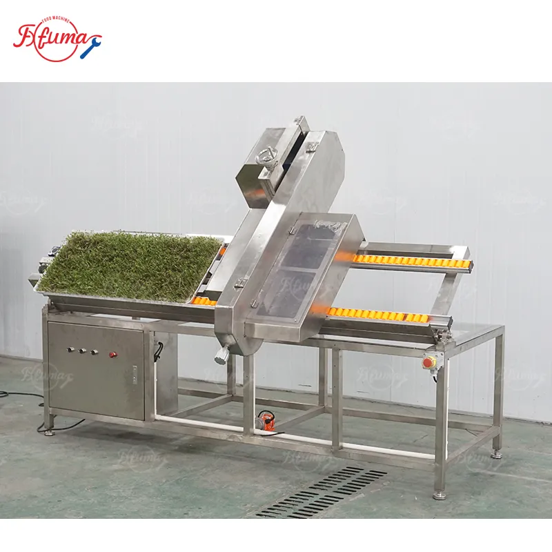 sprout root cutting machine