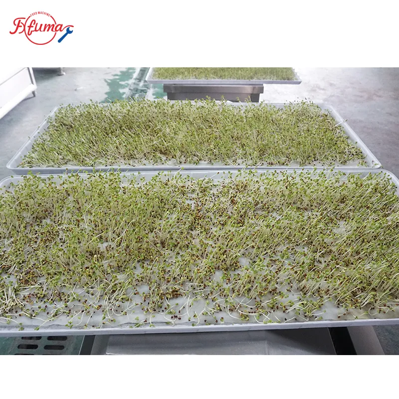 sprout root cutting machine