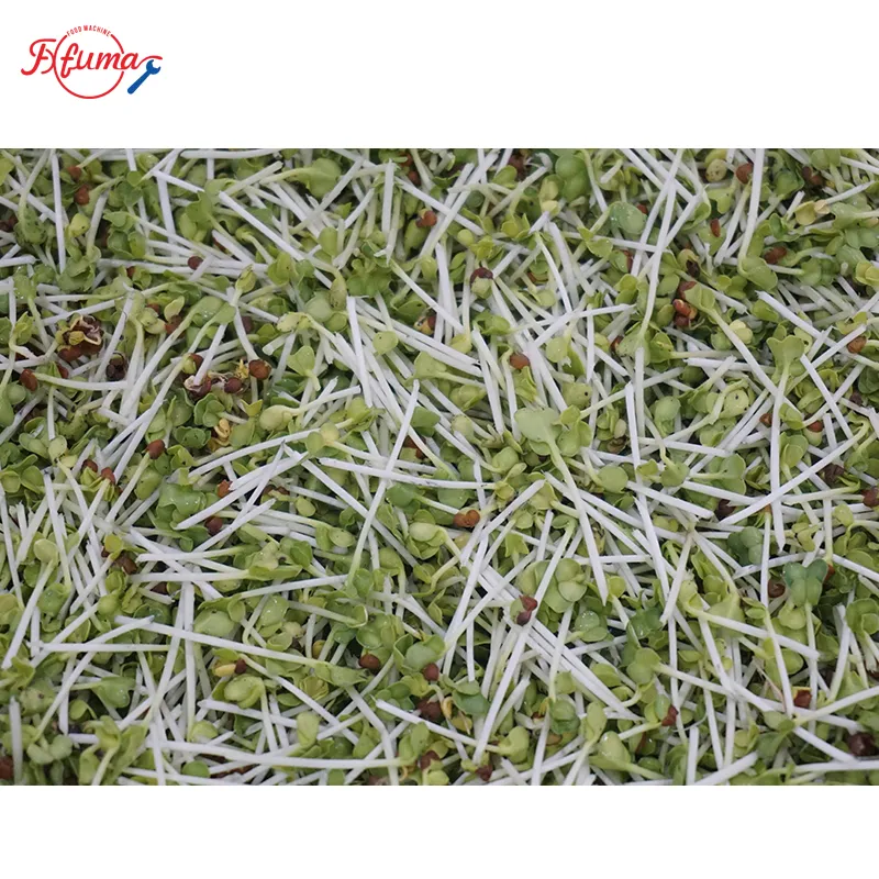 sprout root cutting machine