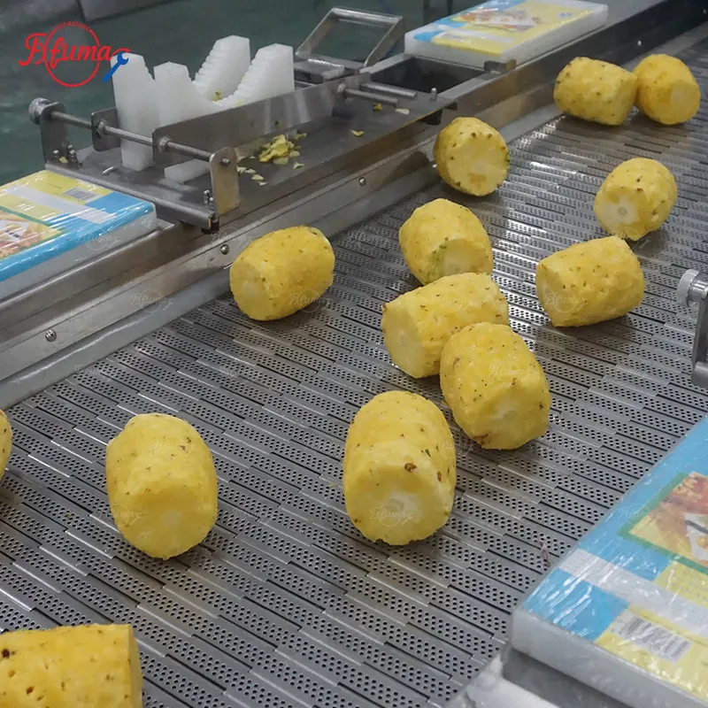 dried pineapple processing line
