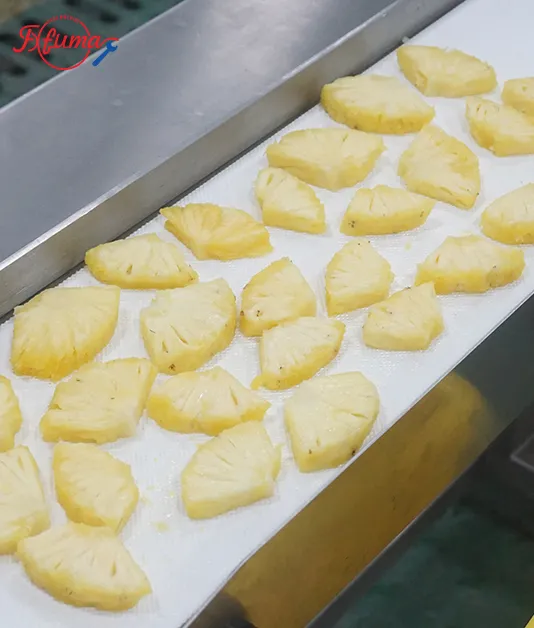 Pineapple Chunks-Cutting Processing Line