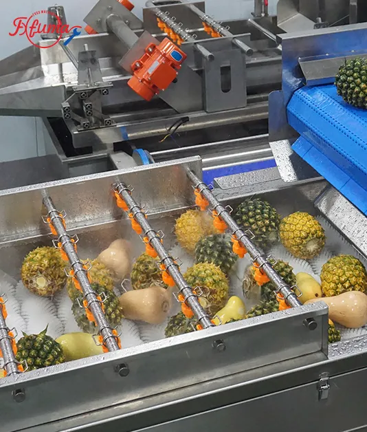 Pineapple Washer