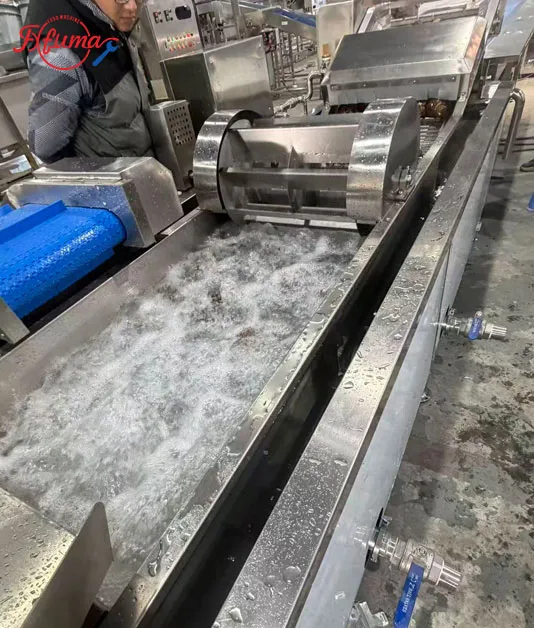 What is Industrial Food Washing Machines: Matching Machines to Your Produce