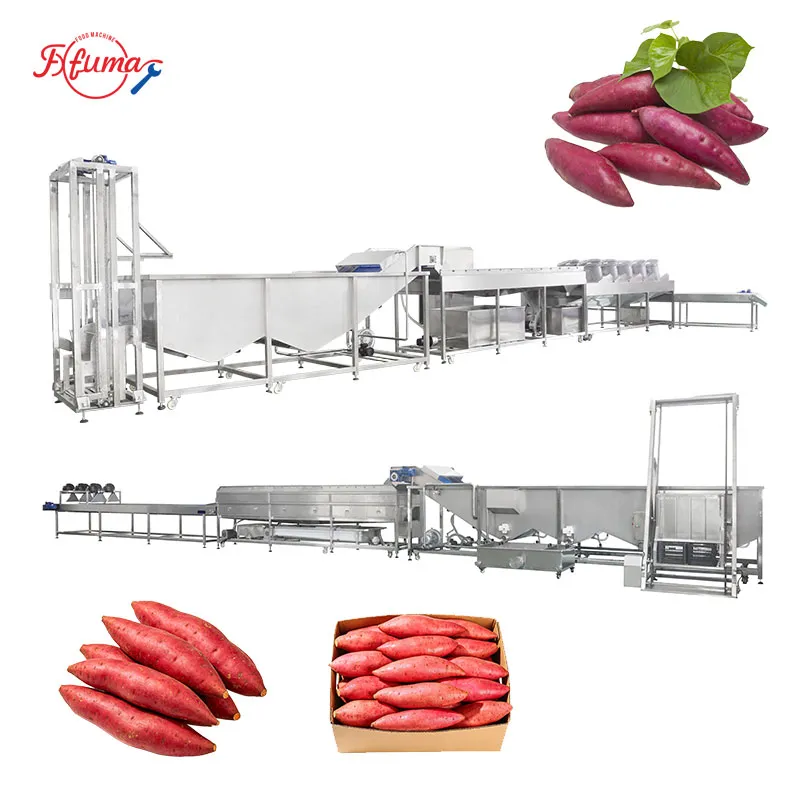 Sweet Potato Cleaning Production Line