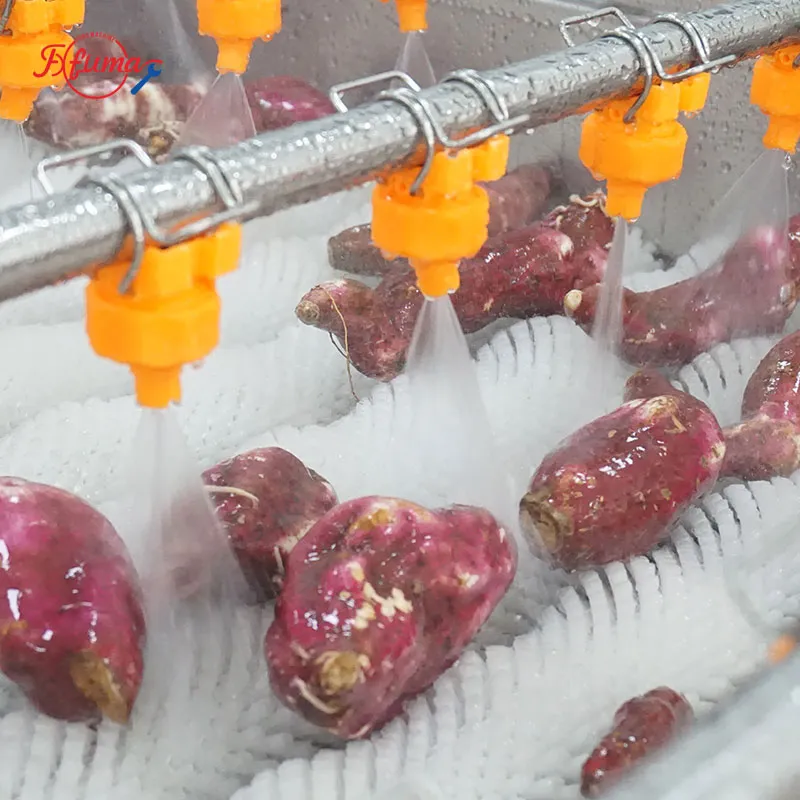 1-3 TPH Sweet Potato Cleaning Production Line