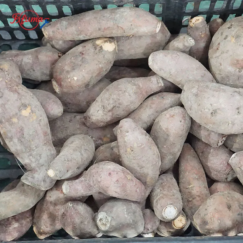 1-3 TPH Sweet Potato Cleaning Production Line
