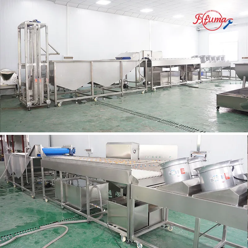 1-3 TPH Sweet Potato Cleaning Production Line
