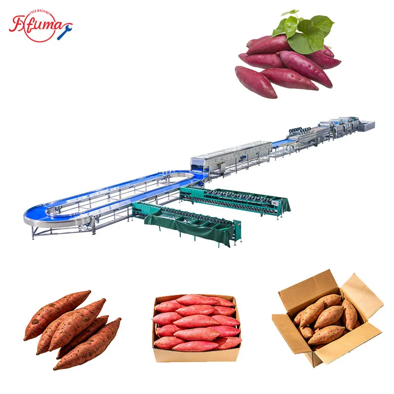 1-5 TPH Sweet Potato Cleaning Production Line