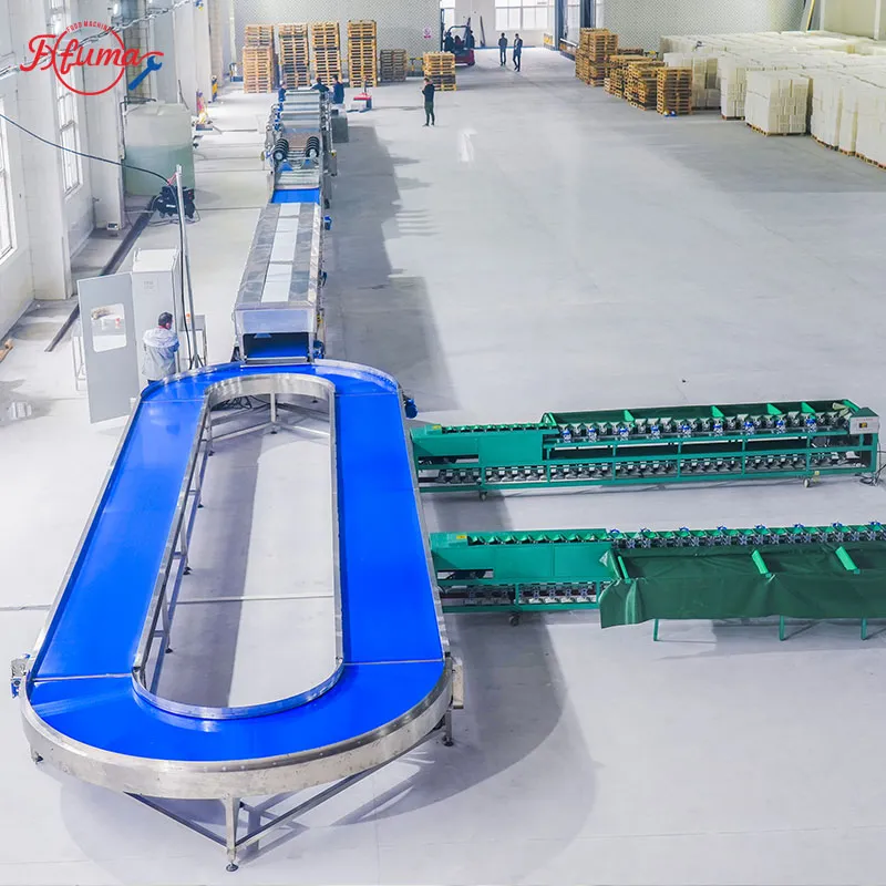 1-5 TPH Sweet Potato Cleaning Production Line