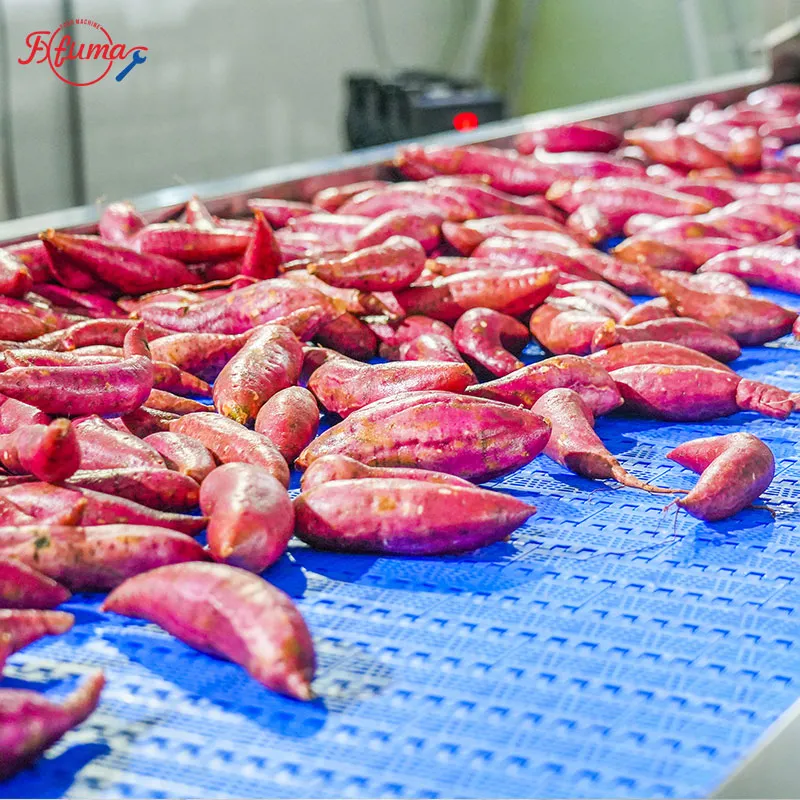 1-5 TPH Sweet Potato Cleaning Production Line