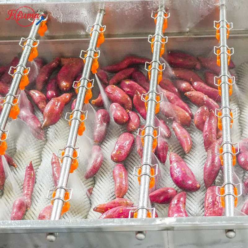 Sweet Potato Brush Cleaning Machine