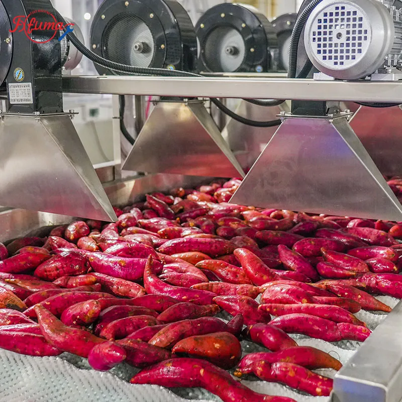 vegetable hot air dryer