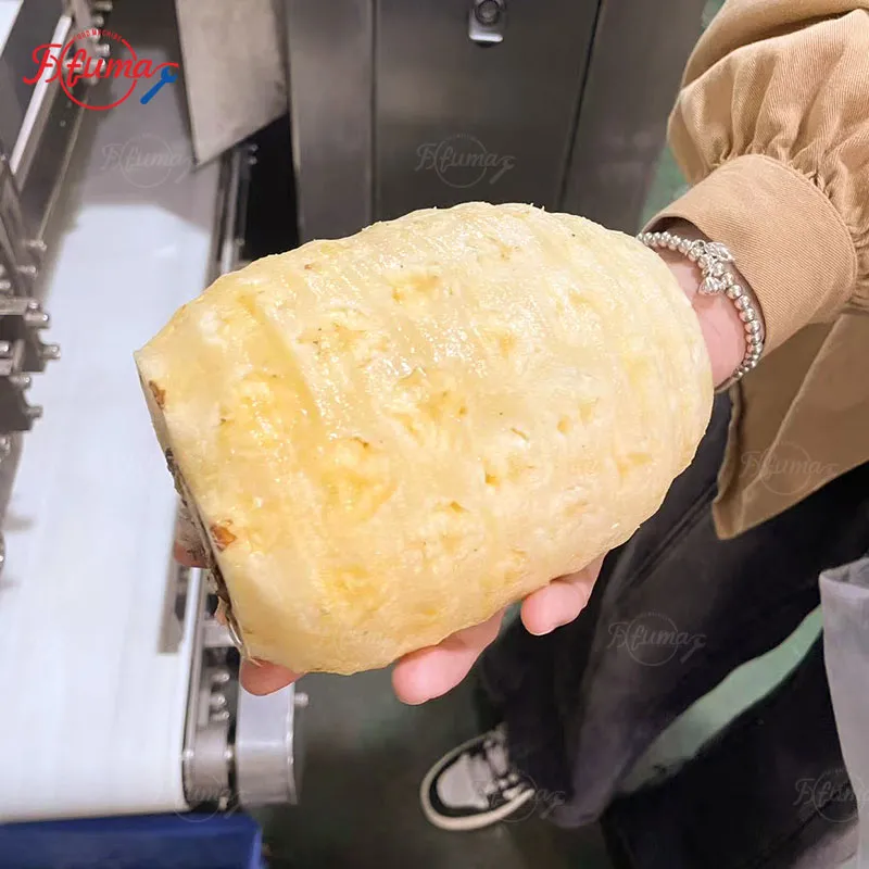 3-in-1 Automatic Pineapple Peeling Machine-FUMA