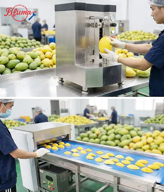How to Build Your Mango Slicing Line: 8 Equipment Options for Flexible Customization