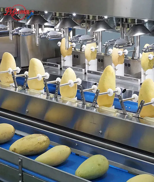 commercial mango production line