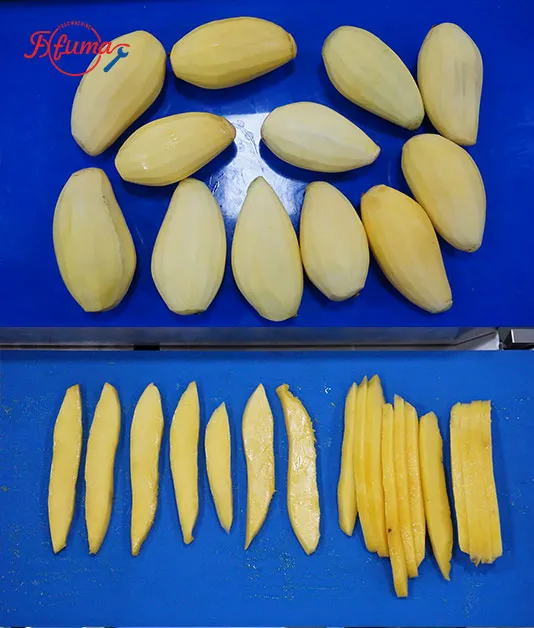 mango processing line - fuma machine