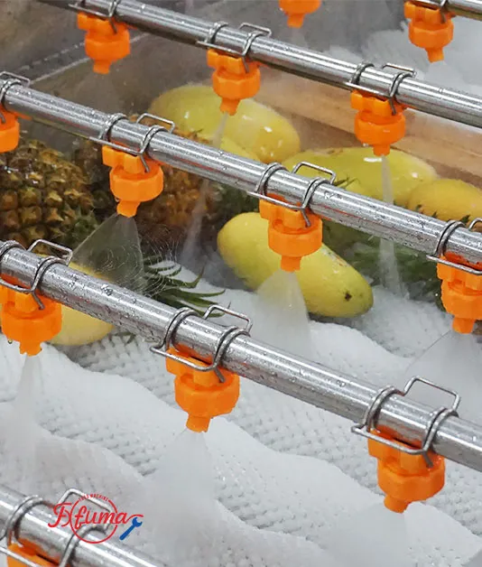 mango cutting processing line