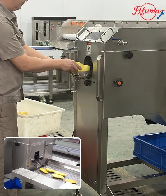 mango pitting machine -fuma machine