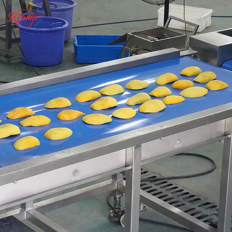 Mango slicer machine industrial -fuma machine