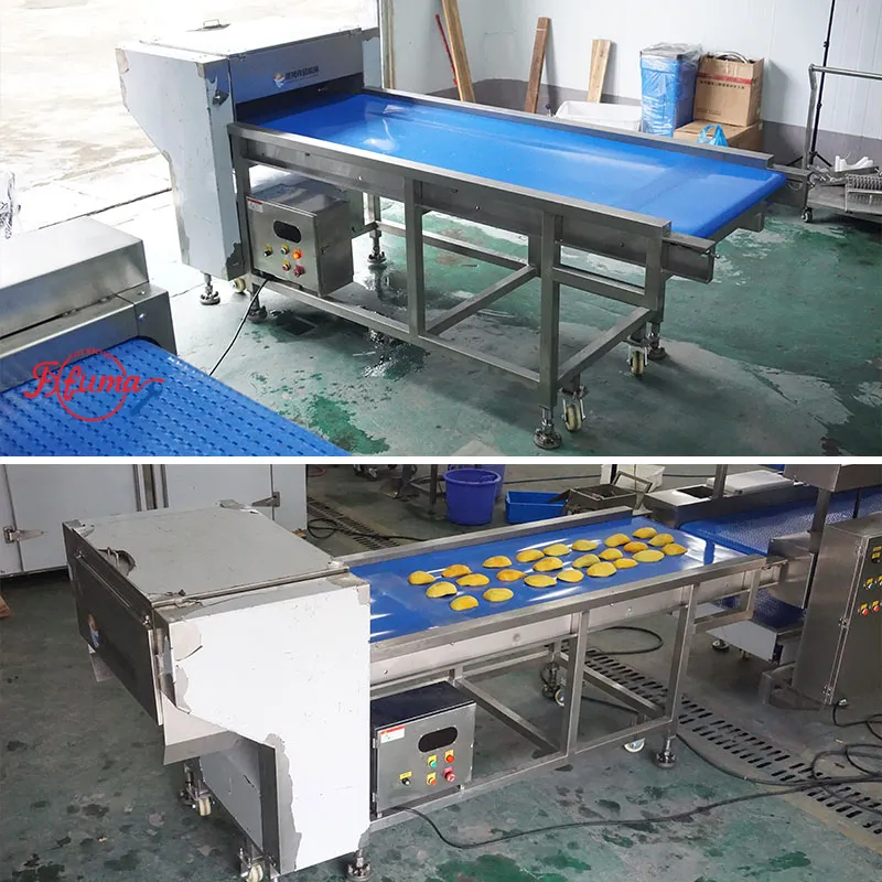 Mango Slices Processing Machine - fuma machine