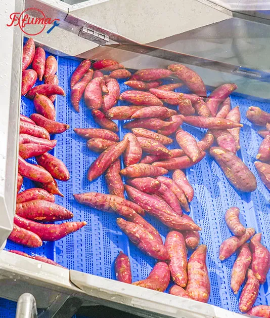 Sweet Potato Bubble Washer